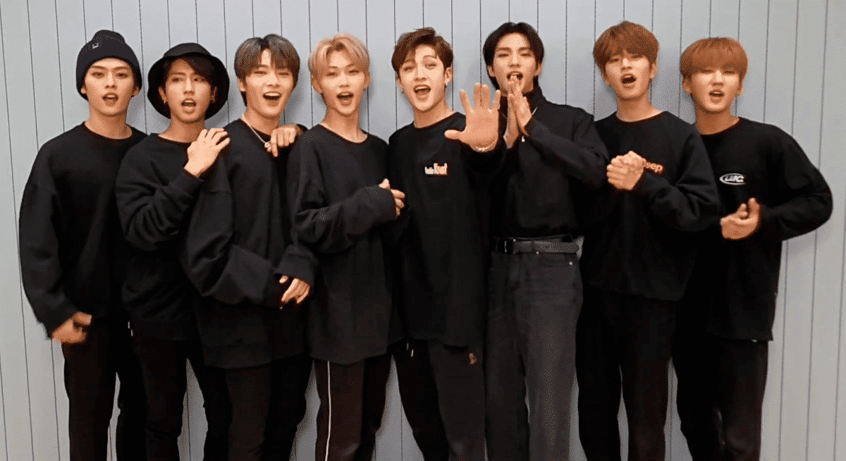 Stray Kids' Hyunjin Giving a Shout-Out to ASL Interpreters Will Make You Want to Learn ASL