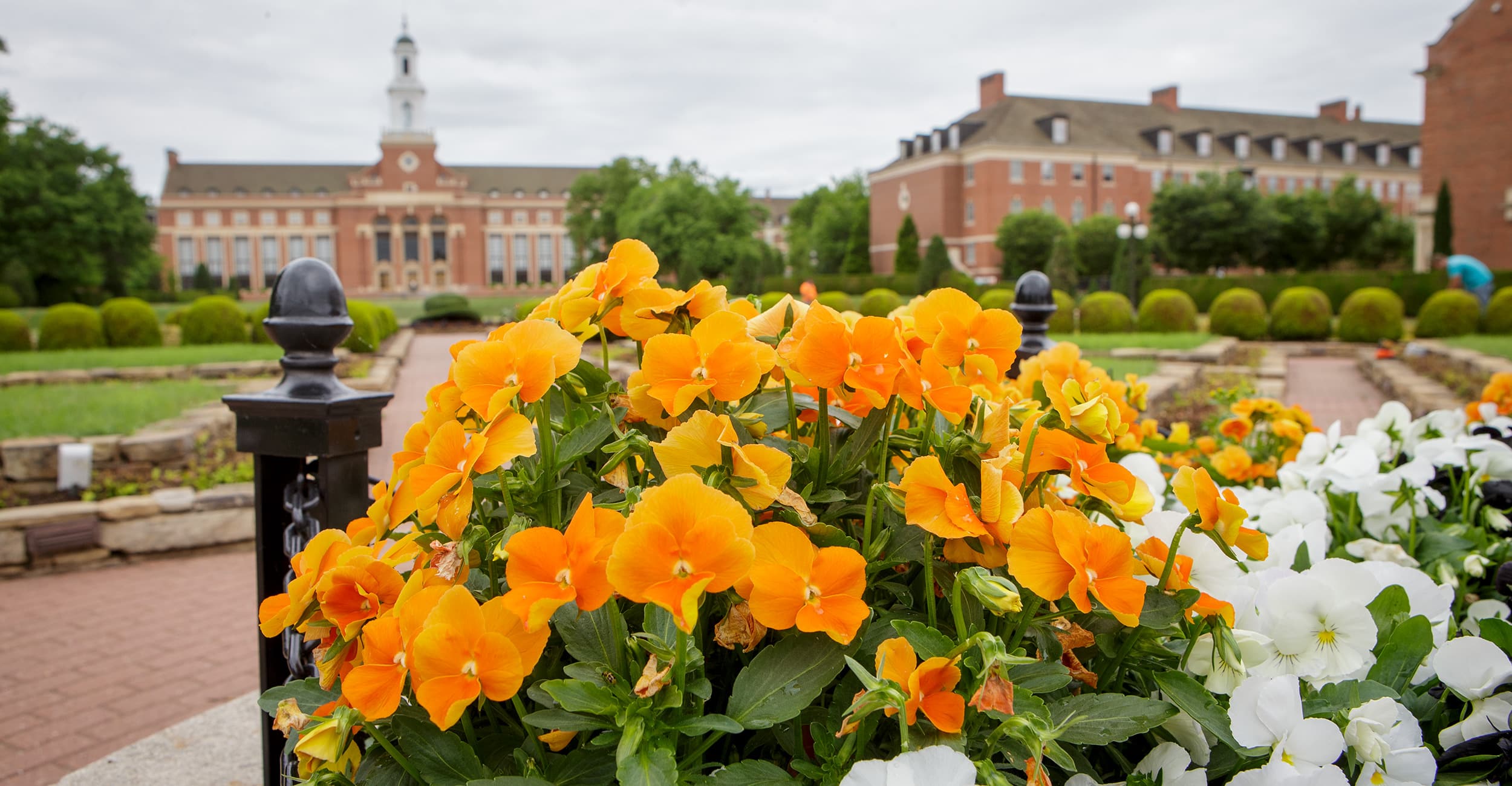 OSU Lead the Way to Learn American Sign Language With its ASL Bachelor's Degree