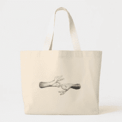 interpreter tote